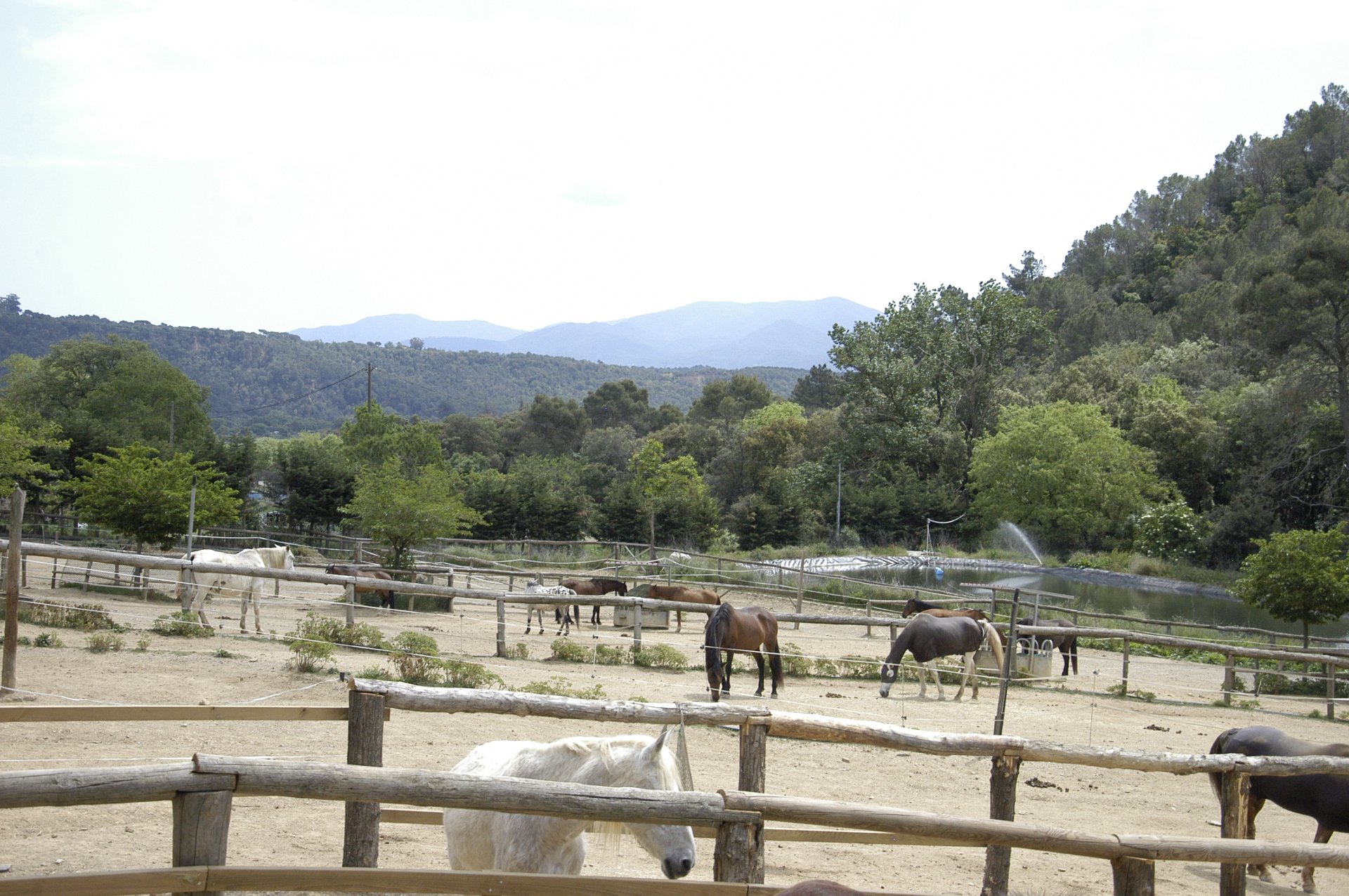 El Nostre Projecte