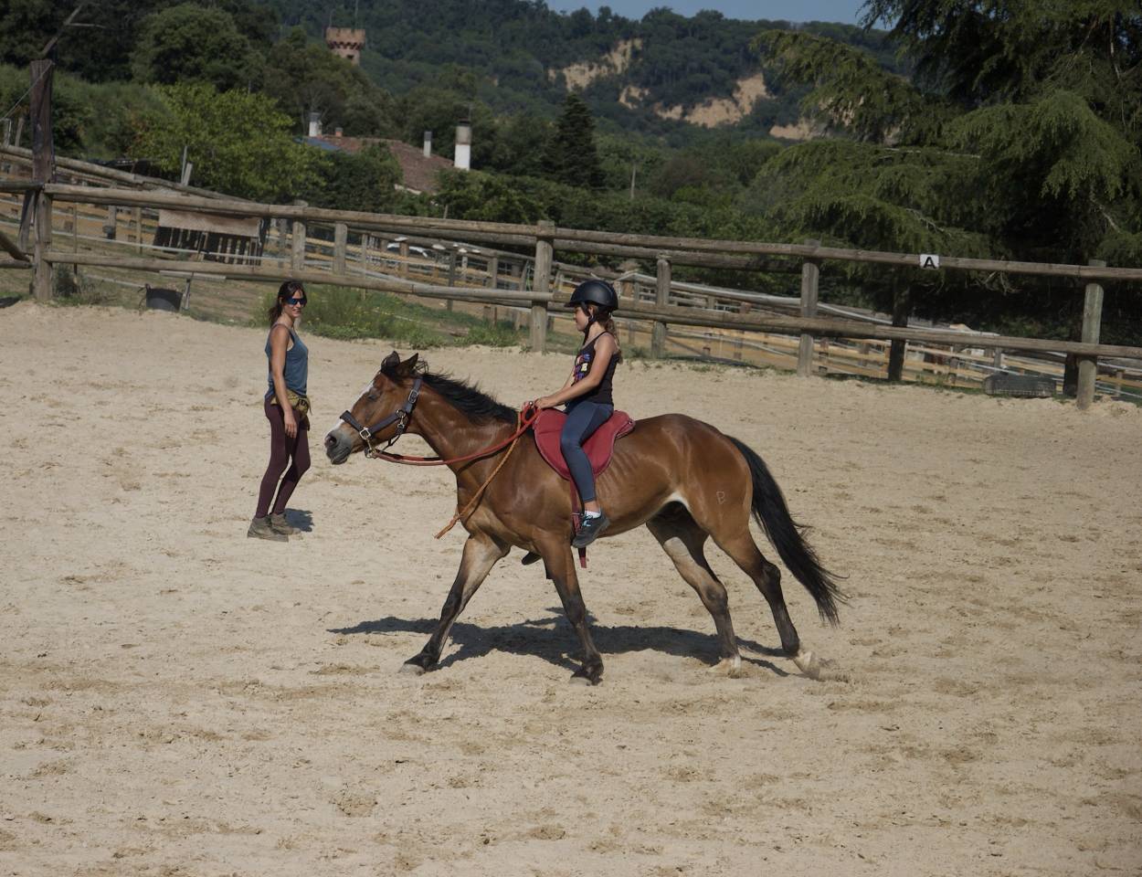 Classes d'equitació