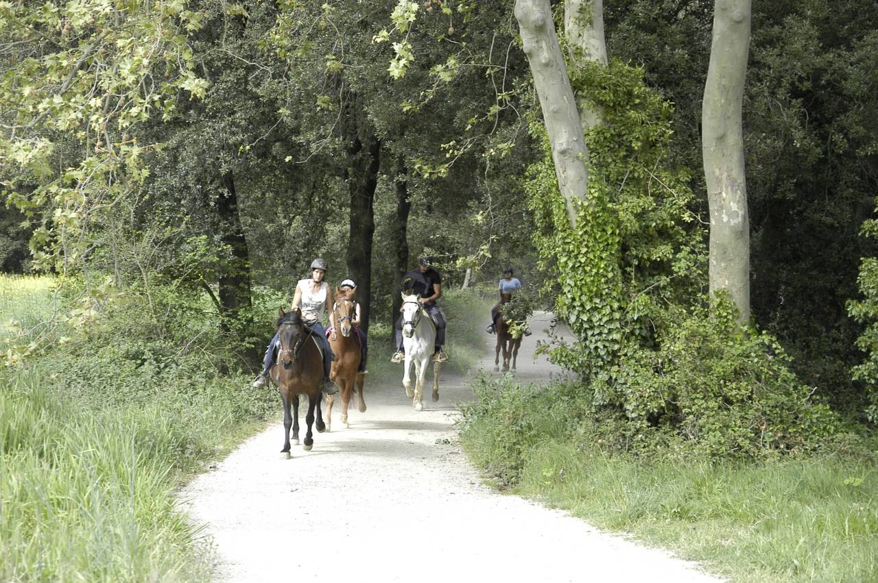 Rutes per muntanya